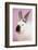 Californian Rabbit-Lynn M^ Stone-Framed Photographic Print