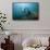 Californian Sea Lion (Zalophus Californianus)-Reinhard Dirscherl-Framed Stretched Canvas displayed on a wall