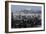 Californian Sealions (Zalophus Californianus) with Alcatraz in Background-Suzi Eszterhas-Framed Photographic Print