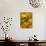 Californina Poppies, USA-Adam Jones-Photographic Print displayed on a wall