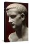 Caligula, Gaius Julius Caesar (12-41). Roman Emperor (37-41)-null-Stretched Canvas