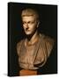 Caligula (Gaius Julius Caesar Germanicus), 12-41 AD Roman Emperor, as a Young Man-null-Stretched Canvas