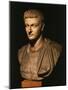Caligula (Gaius Julius Caesar Germanicus), 12-41 AD Roman Emperor, as a Young Man-null-Mounted Photographic Print
