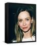 Calista Flockhart-null-Framed Stretched Canvas