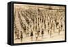 Calisthenics on the Beach-null-Framed Stretched Canvas