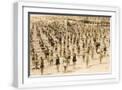 White Frame