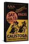 Calistoga Motorcycle Races-Mark Rogan-Framed Stretched Canvas