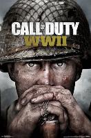 CALL OF DUTY: WWII - KEY ART-null-Lamina Framed Poster