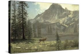 Call of the Wild-Albert Bierstadt-Stretched Canvas