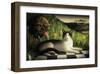 Call of the Wild-Chris Miles-Framed Art Print