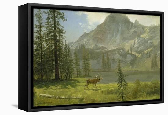 Call of the Wild-Albert Bierstadt-Framed Stretched Canvas