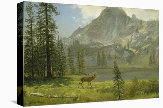 Call of the Wild-Albert Bierstadt-Stretched Canvas