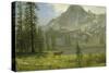 Call of the Wild-Albert Bierstadt-Stretched Canvas