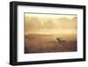 Call-Mark Bridger-Framed Art Print