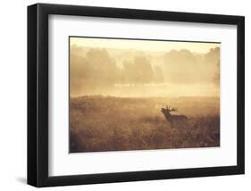 Call-Mark Bridger-Framed Art Print