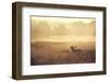 Call-Mark Bridger-Framed Art Print