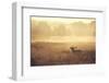 Call-Mark Bridger-Framed Art Print