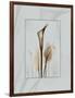 Calla Blue Brown 2-Albert Koetsier-Framed Art Print