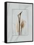 Calla Blue Brown 2-Albert Koetsier-Framed Stretched Canvas