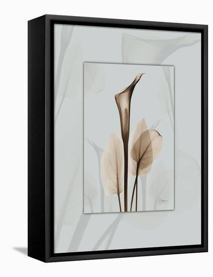 Calla Blue Brown 2-Albert Koetsier-Framed Stretched Canvas