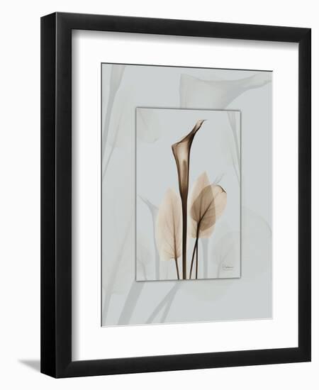 Calla Blue Brown 2-Albert Koetsier-Framed Art Print