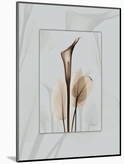 Calla Blue Brown 2-Albert Koetsier-Mounted Art Print