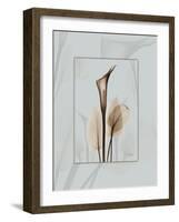 Calla Blue Brown 2-Albert Koetsier-Framed Art Print