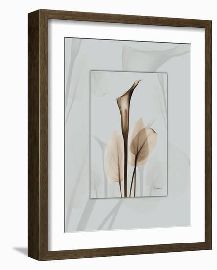 Calla Blue Brown 2-Albert Koetsier-Framed Art Print