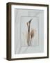 Calla Blue Brown 2-Albert Koetsier-Framed Art Print