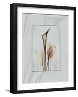 Calla Blue Brown 2-Albert Koetsier-Framed Art Print