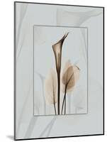 Calla Blue Brown 2-Albert Koetsier-Mounted Art Print