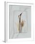 Calla Blue Brown 2-Albert Koetsier-Framed Art Print