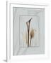 Calla Blue Brown 2-Albert Koetsier-Framed Art Print