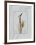 Calla Blue Brown 2-Albert Koetsier-Framed Art Print