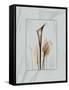 Calla Blue Brown 2-Albert Koetsier-Framed Stretched Canvas