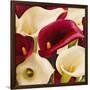 Calla Composition II-Serena Biffi-Framed Art Print