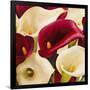 Calla Composition II-Serena Biffi-Framed Art Print