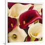 Calla Composition II-Serena Biffi-Framed Art Print