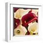 Calla Composition II-Serena Biffi-Framed Art Print