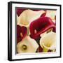 Calla Composition II-Serena Biffi-Framed Art Print