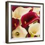 Calla Composition II-Serena Biffi-Framed Art Print