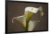 Calla Elegance II-Rita Crane-Framed Art Print