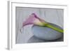 Calla, Flower, Stone, Still Life-Andrea Haase-Framed Photographic Print