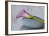 Calla, Flower, Stone, Still Life-Andrea Haase-Framed Photographic Print