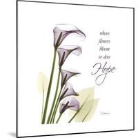 Calla Hope-Albert Koetsier-Mounted Premium Giclee Print