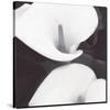 Calla II-null-Stretched Canvas