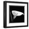 Calla III-null-Framed Art Print