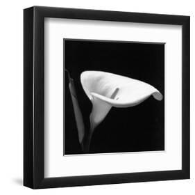 Calla III-null-Framed Art Print