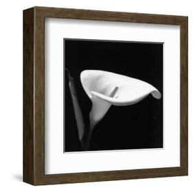 Calla III-null-Framed Art Print