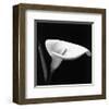 Calla III-null-Framed Art Print